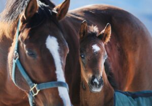 ラジオNIKKEIマーケットプレスに出演しました